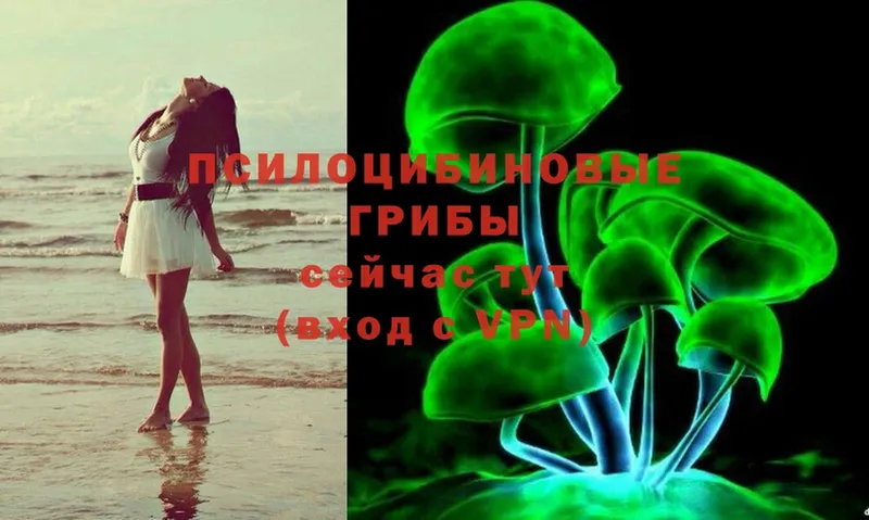 Галлюциногенные грибы Psilocybe  mega как зайти  Северодвинск  хочу  